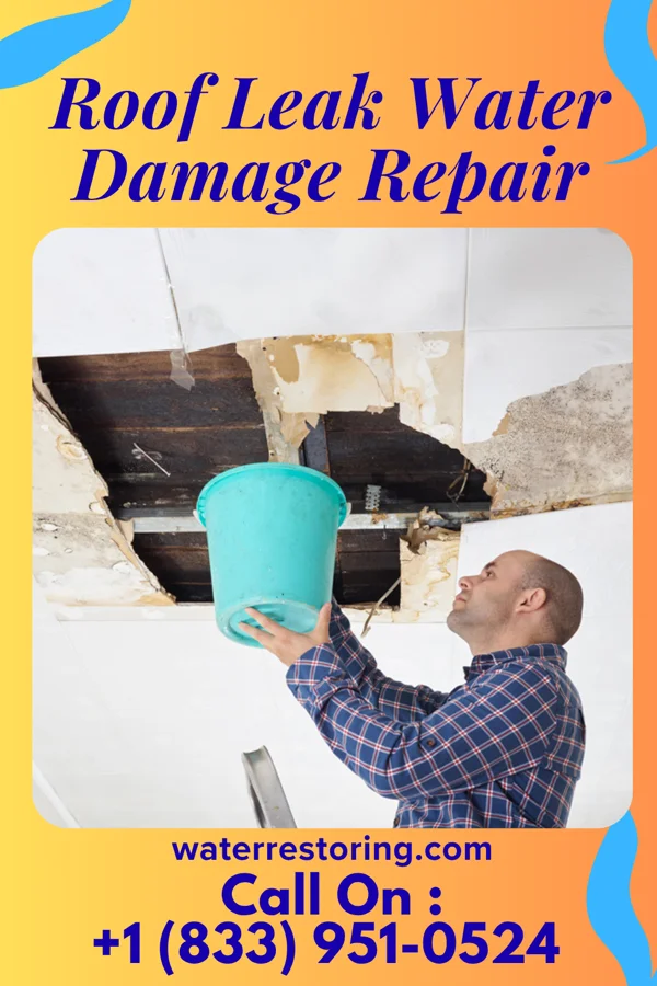 Roof Leak Water Damage Repair in Goodwell, OK