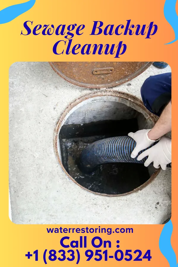 Sewage Backup Cleanup in Goodwell, OK